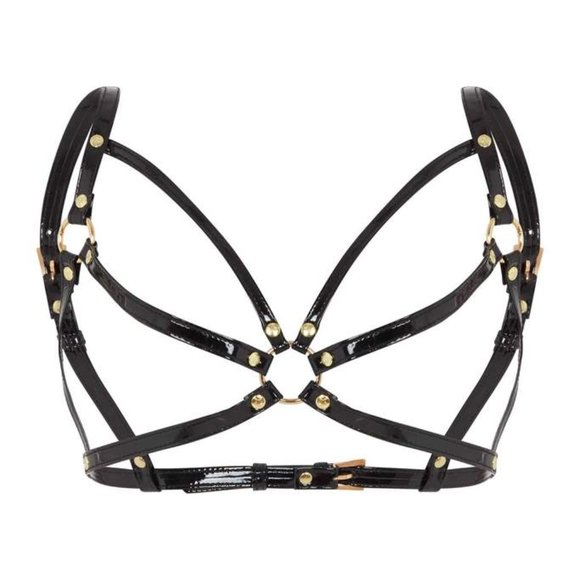 Regalia Other - Regalia Open Harness Bra size 10-14